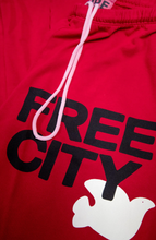 Load image into Gallery viewer, FREE CITY Large Sweatpants in Artyard Red / Cream