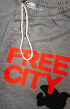 Load image into Gallery viewer, FREE CITY LARGE 3/4 sweats - HEATHER ELECTRIC