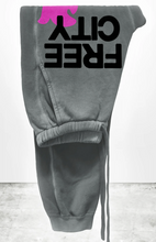 Load image into Gallery viewer, FREE CITY LARGE SUNFADES pocket sweatpant - GREYART