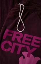 Load image into Gallery viewer, FREE CITY UNISEX LARGE SWEATPANT - EGGSPLANT LOVE