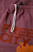 Load image into Gallery viewer, FREE CITY UNISEX LARGE SWEATPANT - HUNKYDORY