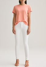 Load image into Gallery viewer, AGOLDE Sophie Ankle Jean