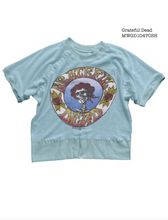 Load image into Gallery viewer, MADEWORN THE GRATEFUL DEAD  TERRYCLOTH S/S SWEATSHIRT IN BLUE HAZE