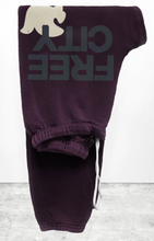 Load image into Gallery viewer, FREE CITY Large Sweatpants in Eggplant