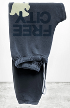 Load image into Gallery viewer, FREE CITY UNISEX LARGE SWEATPANT - MOONSHROOMS