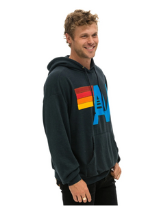 AVIATOR NATION  LOGO STITCH UNISEX PULLOVER RELAXED HOODIE - CHARCOAL