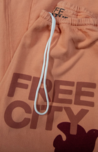 Load image into Gallery viewer, FREE CITY UNISEX LARGE SWEATPANT - CANYON
