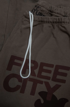 Load image into Gallery viewer, FREE CITY UNISEX LARGE SWEATPANT - COCOPONYS