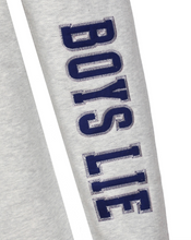 Load image into Gallery viewer, BOYS LIE SMOKE &amp; MIRRORS KIMMY PANTS IN GREY