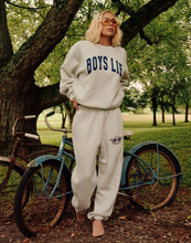 Load image into Gallery viewer, BOYS LIE SMOKE &amp; MIRRORS KIMMY PANTS IN GREY