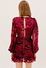 Load image into Gallery viewer, For Love &amp; Lemons Penelope Mini Dress