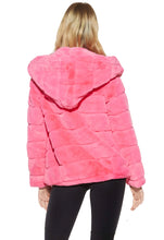 Load image into Gallery viewer, Apparis Goldie Jacket