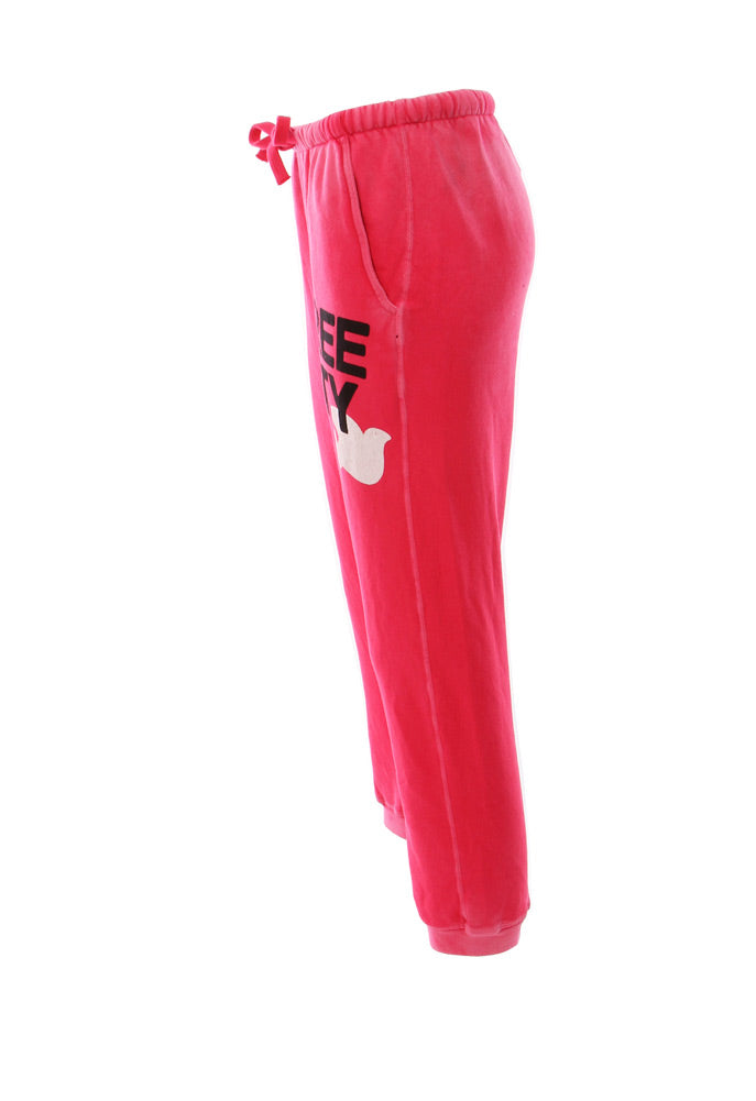 FREE CITY Large Sunfades Pocket Sweatpant in Watermelongumm Sunfade