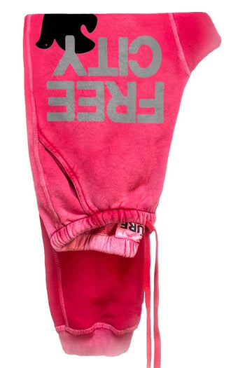 FREE CITY Large Sunfades Pocket Sweatpant in Redrumm