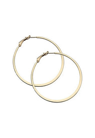 Jennifer Zeuner Liv Small Hoop Earrings