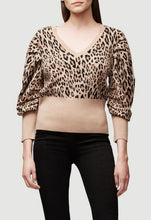 Load image into Gallery viewer, FRAME Denim Full V Neck Sweater