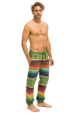 Load image into Gallery viewer, Aviator Nation Mens Serape Bolt Stitch Sweatpants In Jungle Green