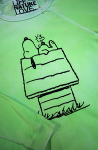 FREE CITY BASICGOODNESS SNOOPY HOUSE UNISEX raglan - mintbath